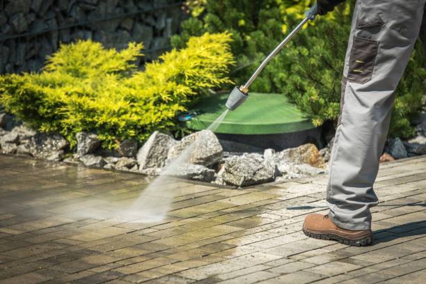 Best Pre-Holiday Cleaning  in Lynwood, IL